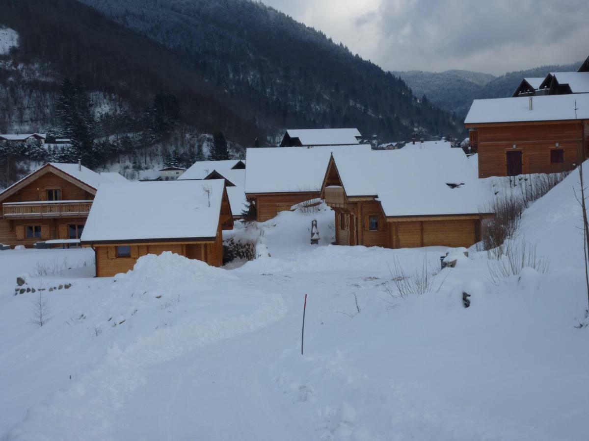 Le Planot Villa La Bresse Bagian luar foto